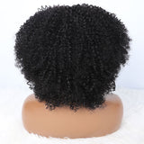 Full and Easy Jerry Curl Afro Wig