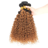 Virgin Loose Kinky Curly Bundles